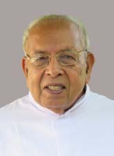 Fr. George Madappallikunnel CMI